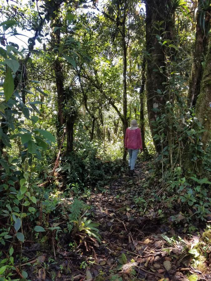 Escapadita Al Bosque San Isidro  外观 照片