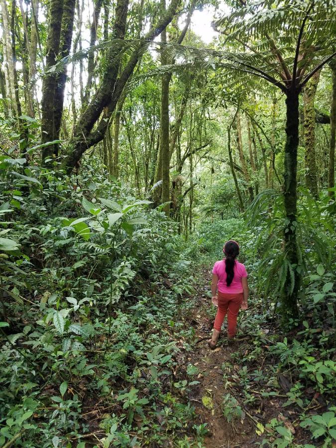 Escapadita Al Bosque San Isidro  外观 照片