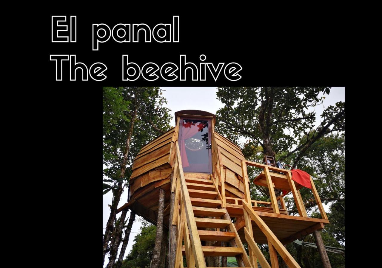 Escapadita Al Bosque San Isidro  外观 照片